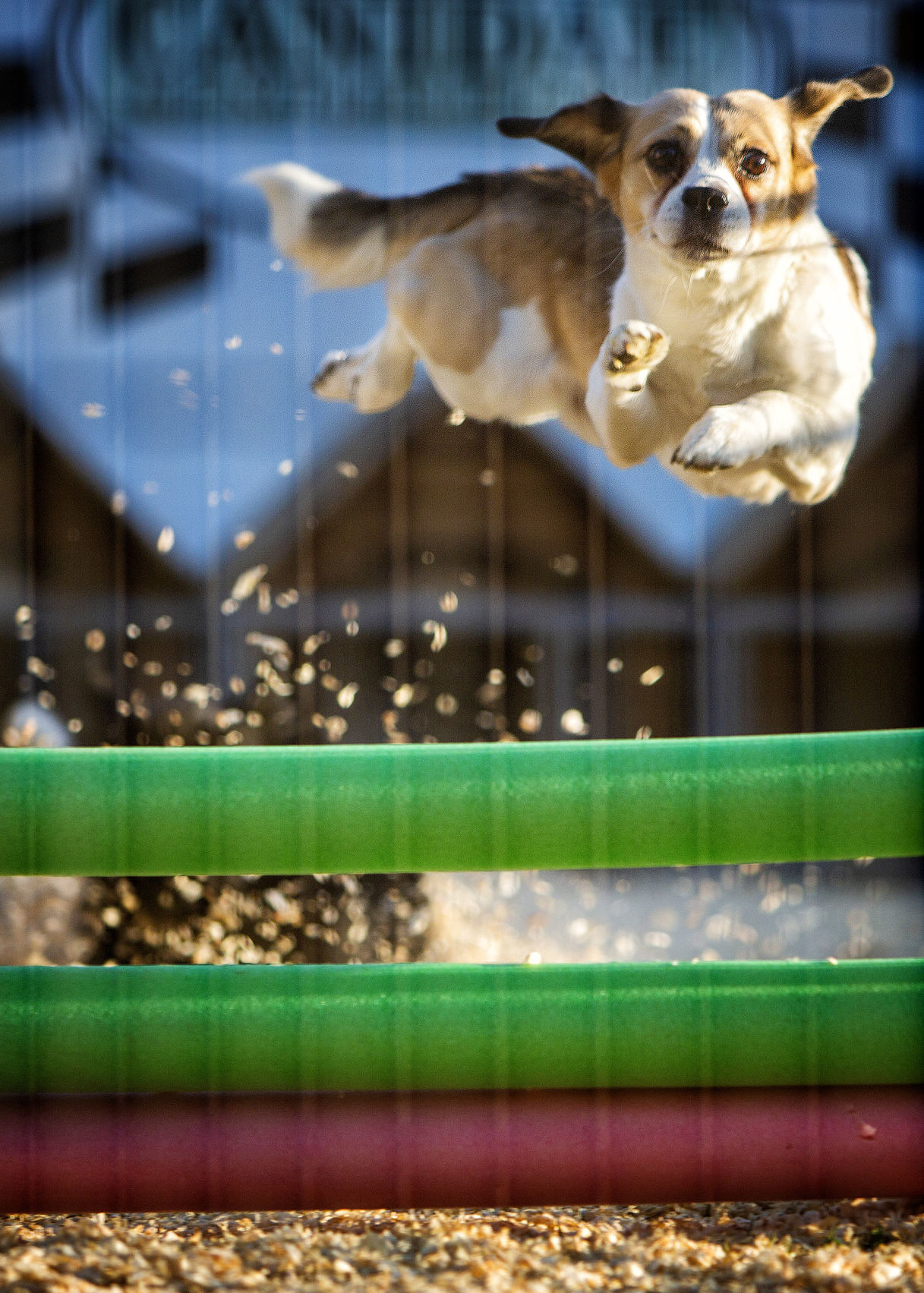Fido 500
